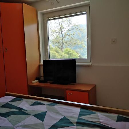 Apartment Zadraga Tolmin Eksteriør bilde